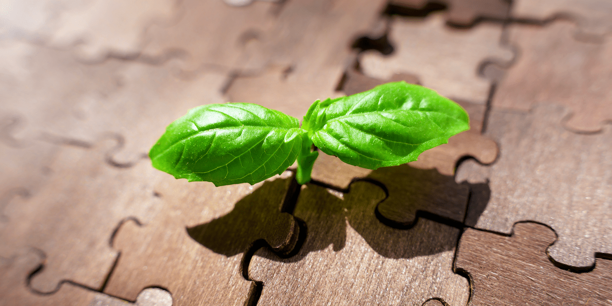 Transformative Growth: Exploring the Nigeria Startup Act, 2022